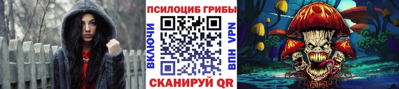 продажа наркотиков  Голицыно  Галлюциногенные грибы Psilocybine cubensis 